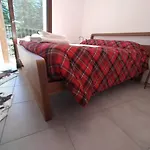 Adamello Peak Apartment *